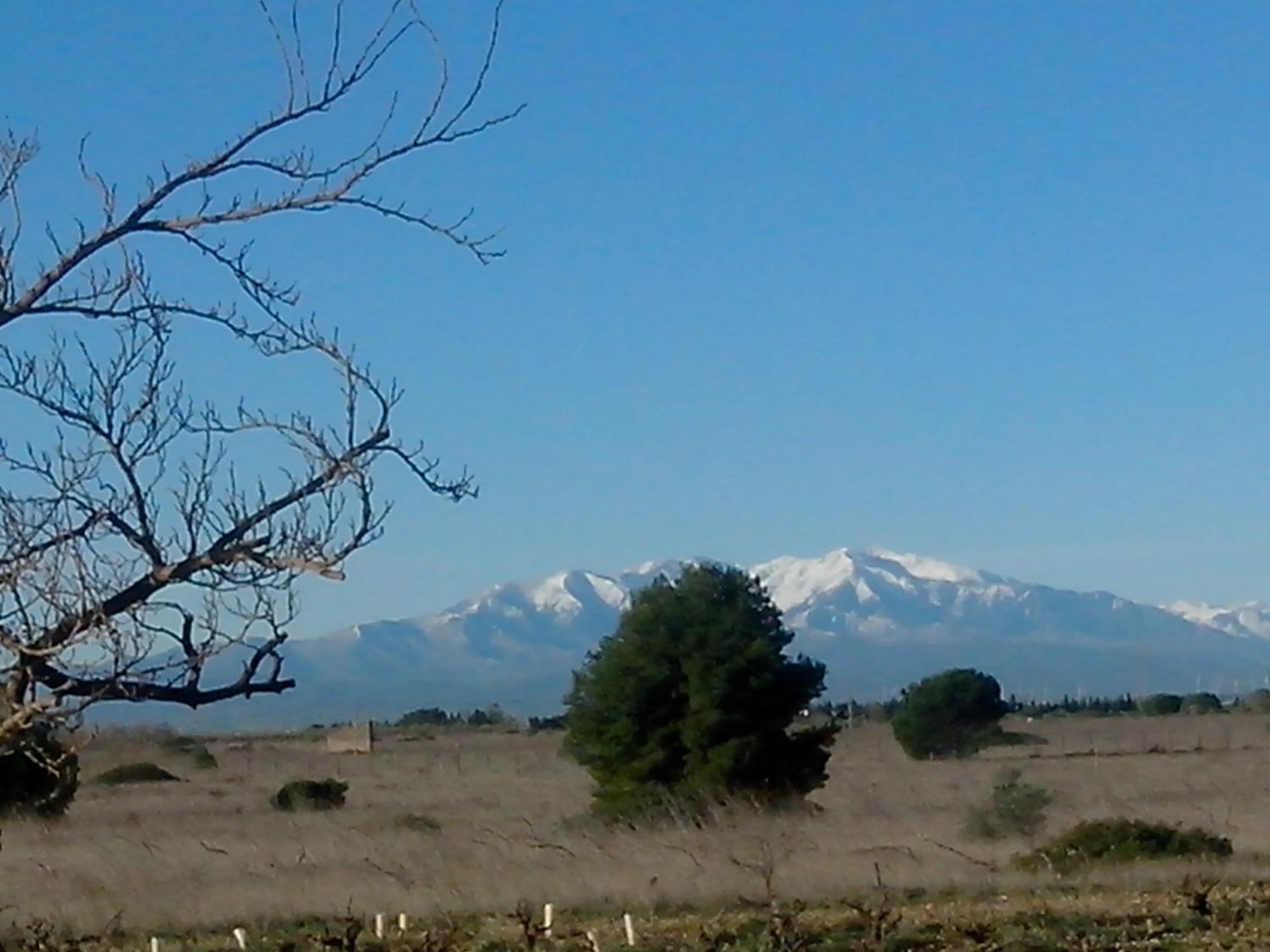 Mas Soleil Et Vignes Saint-Hippolyte (Pyrenees-Orientales) Exterior foto